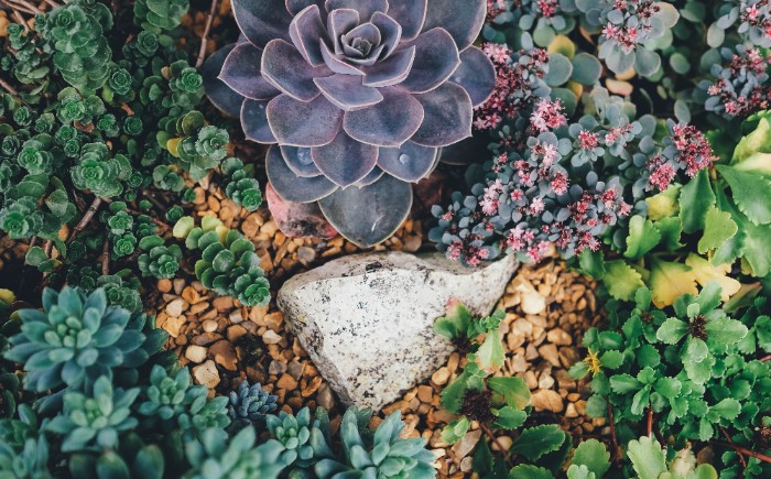 What Is The Best Type Of Landscaping Stone? image 31 - What Is The Best Type Of Landscaping Stone?
